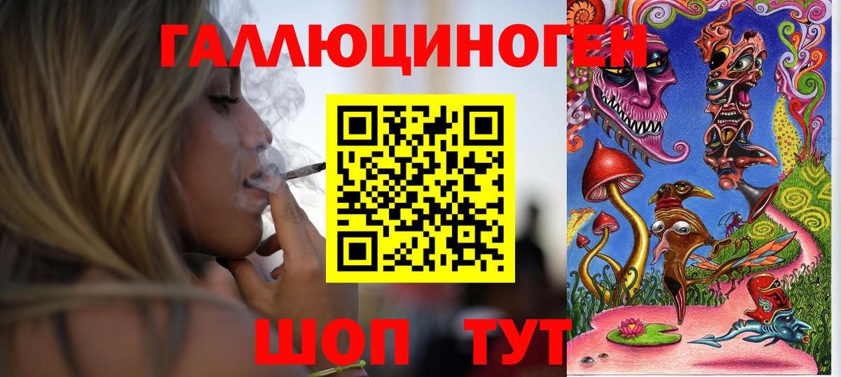 Краснодар  как найти   Вход с VPN  Псилоцибиновые грибы Cubensis  Псилоцибиновые грибы мухоморы 
